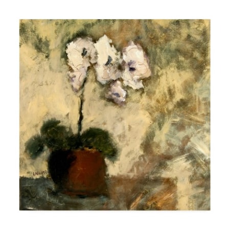 Judi Bagnato 'Orchid Textures II' Canvas Art,24x24